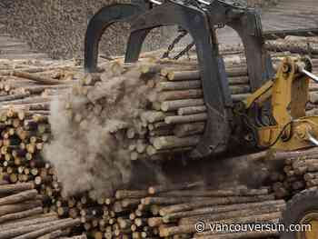 Conservatives promise to amp up harvest for B.C.'s beleaguered forestry sector