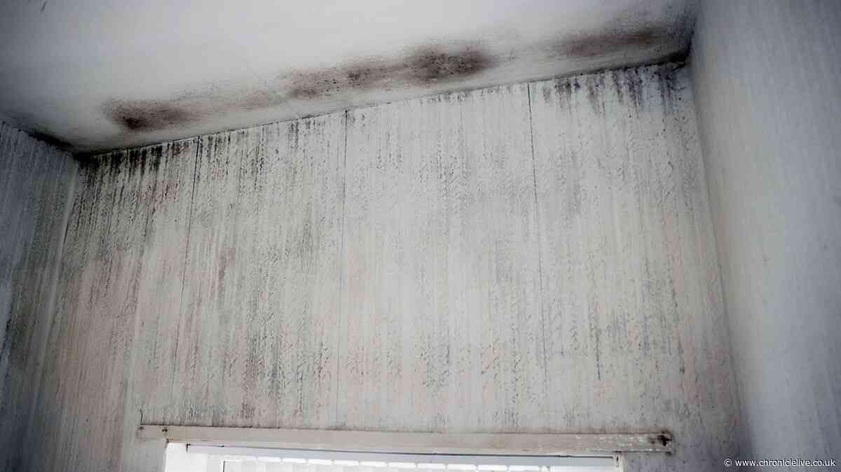 Half of all Gateshead council house repair request phone calls left unanswered