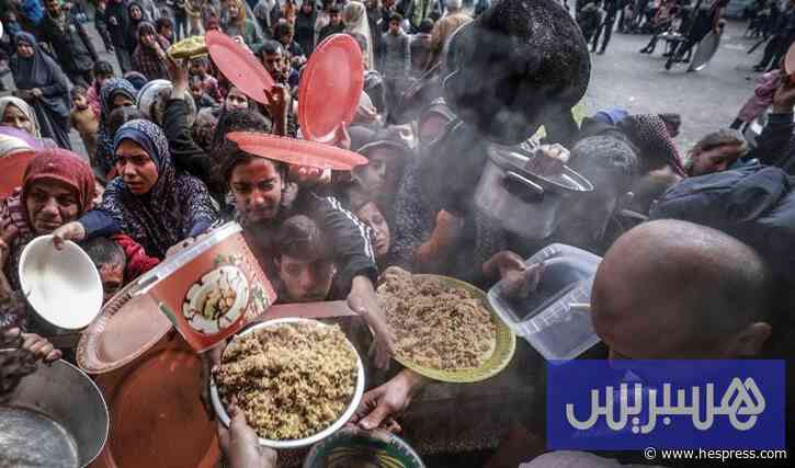 أزمة التمويل تهدد الأمن الغذائي بغزة