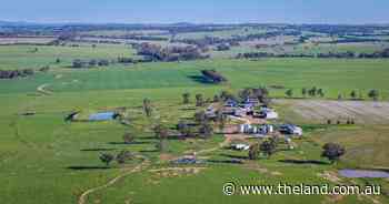 Farming, grazing property Kantara sold 'in line with expectations' | Video