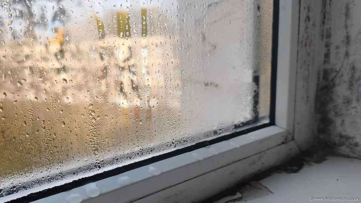 Why you get condensation on windows every morning and easy way to prevent it