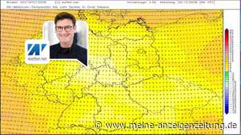 Jetzt Pflanzen reinholen: Nach der Frostnacht übernimmt wieder der Herbst das Kommando