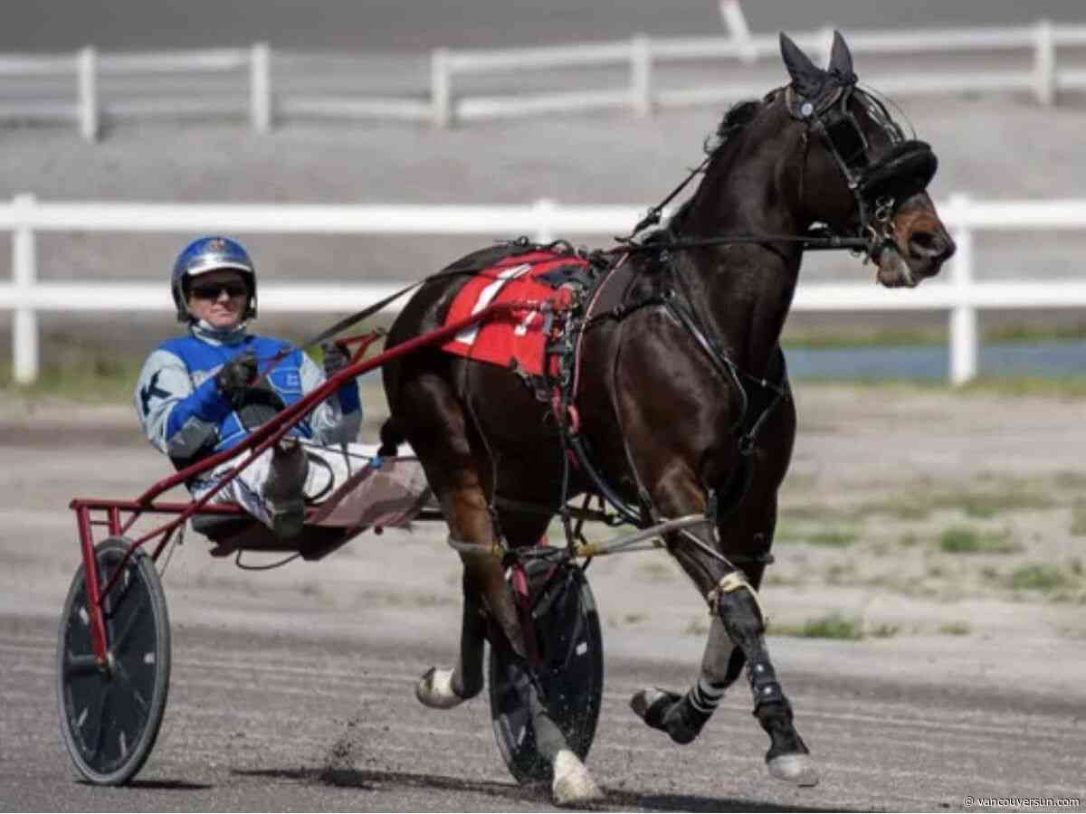 Harness racer dies in multi-horse crash at Osoyoos raceway