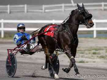 Harness racer dies in multi-horse crash at Osoyoos raceway