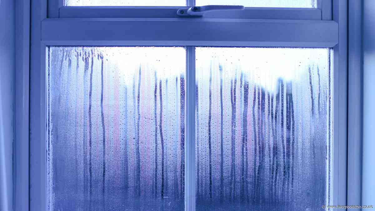 I asked experts for the best way of reducing window condensation this autumn — no dehumidifier