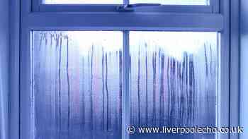 I asked experts for the best way of reducing window condensation this autumn — no dehumidifier