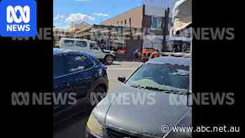 Footage of Helen Haines incident in Wangaratta