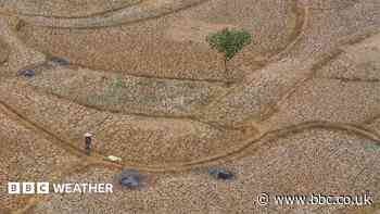 Five ways El Niño is affecting the weather around the world
