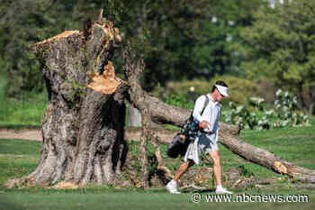 Judge likely to extend block on golf course tree clearing in a clash over Trump’s redesign