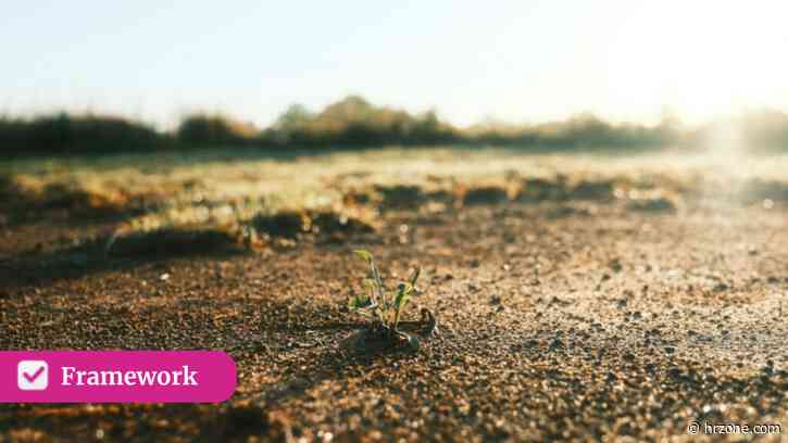 Framework: How to read your team’s culture without launching a transformation programme