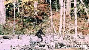 Bigfoot's Biggest Scam? Lost 1966 Film Allegedly Exposes Secret Rehearsal Behind Million-Dollar Hoax