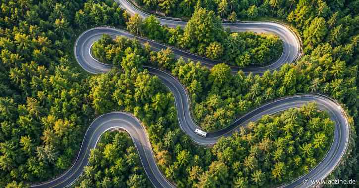 Warum Programmatic (dennoch) der richtige Weg war