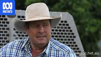 Landholders and politicians push for tougher laws on renewable energy developments