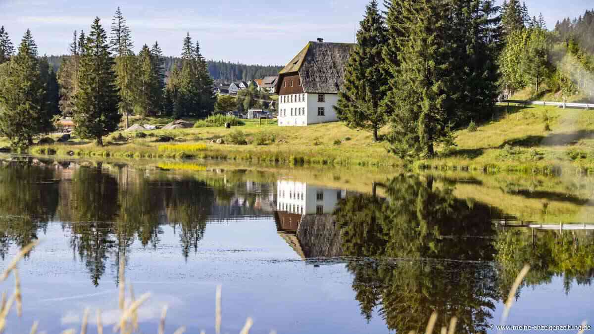 Dunkles Wasser und alte Sagen: Dieser See im Schwarzwald fasziniert