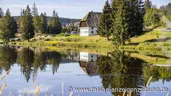 Dunkles Wasser und alte Sagen: Dieser See im Schwarzwald fasziniert
