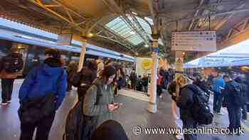 Travel chaos as trains cancelled after bus hits bridge - live updates