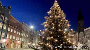 Christbäume gesucht: Stadt Burghausen bittet Bürger um Baumspenden