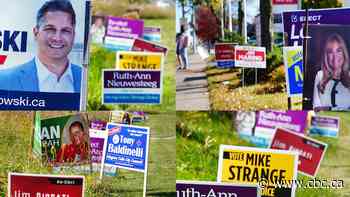 Infrastructure, cost of living and property taxes: Niagara voters on what matters most this election