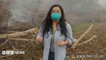 BBC visits wildfire front in haze-choked Indonesia