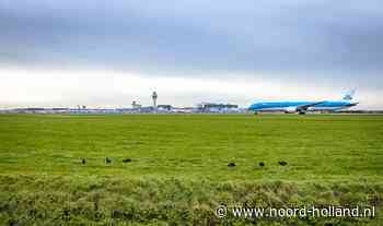 Extra maatregelen om het risico op vogelaanvaringen rond Schiphol verder te verkleinen