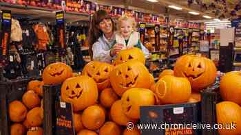 Tesco giving away free pre-carved pumpkins - full list of stores