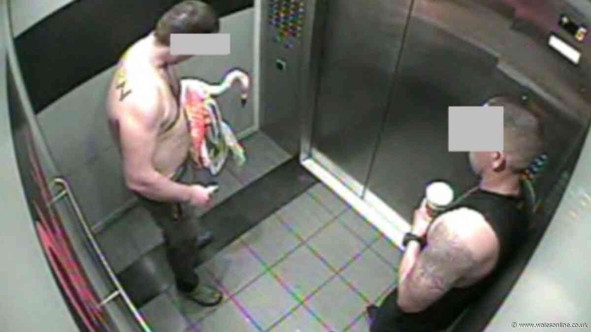 Dad facing jail after abducting flamingo during late-night Vegas booze binge