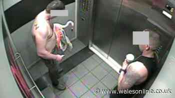 Dad facing jail after abducting flamingo during late-night Vegas booze binge