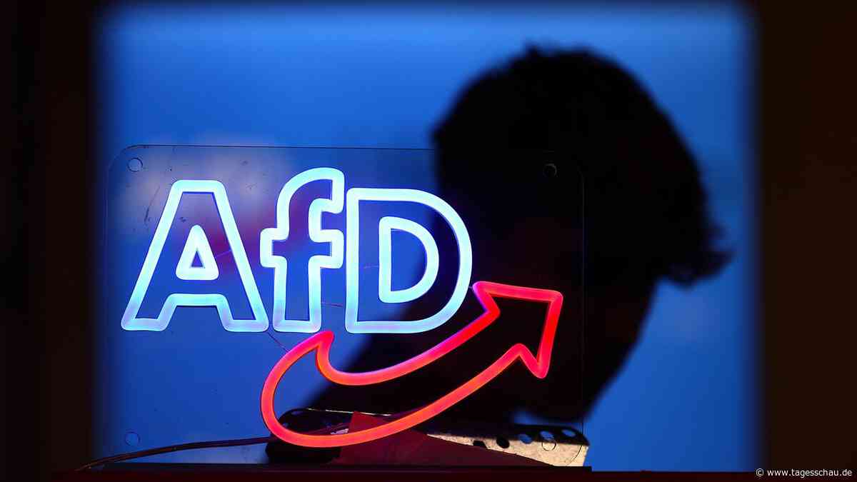 AfD bestätigt Hackerangriff auf E-Mail-Konten