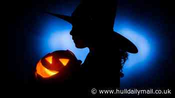 Scarily-good stuff in the Humber region for Halloween 2026