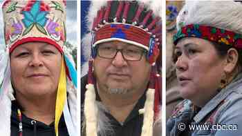 3 First Nations chiefs reject Manitoba cabinet minister's claim they support moose hunts