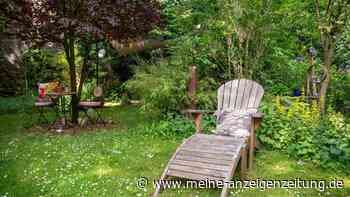 Klimawandel im Garten: Welche Gewohnheiten Besitzer ablegen sollten