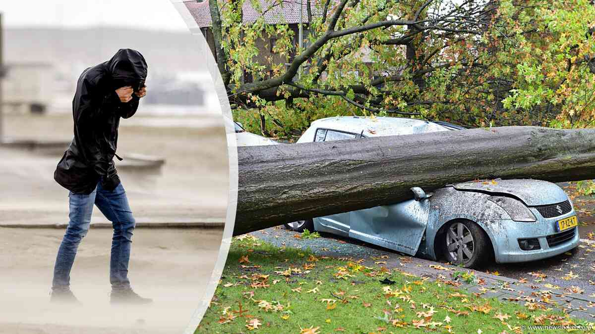 Eerste najaarsstorm in aantocht: vrijdag kans op windkracht 9