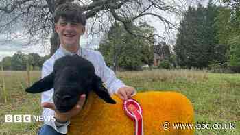 'I knew I wanted to become a farmer at 15'