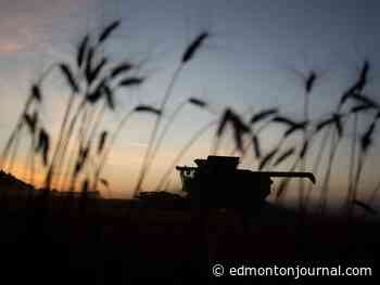 Lorne Gunter: Prairie people just want to be left alone for a while