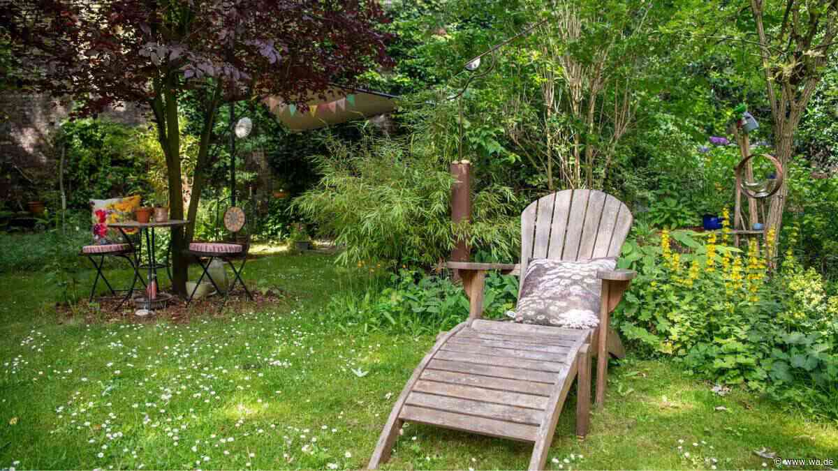 Klimawandel im Garten: Welche Gewohnheiten Besitzer ablegen sollten