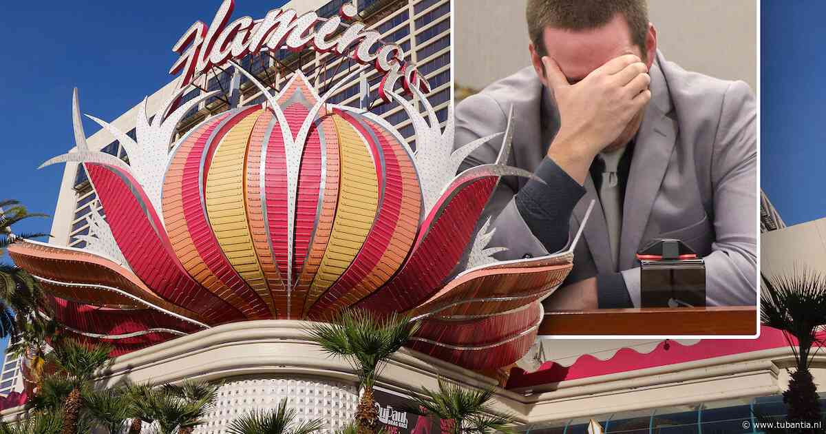 Canadese toerist drinkt 30 tot 40 biertjes en steelt dan flamingo uit hotel in Las Vegas