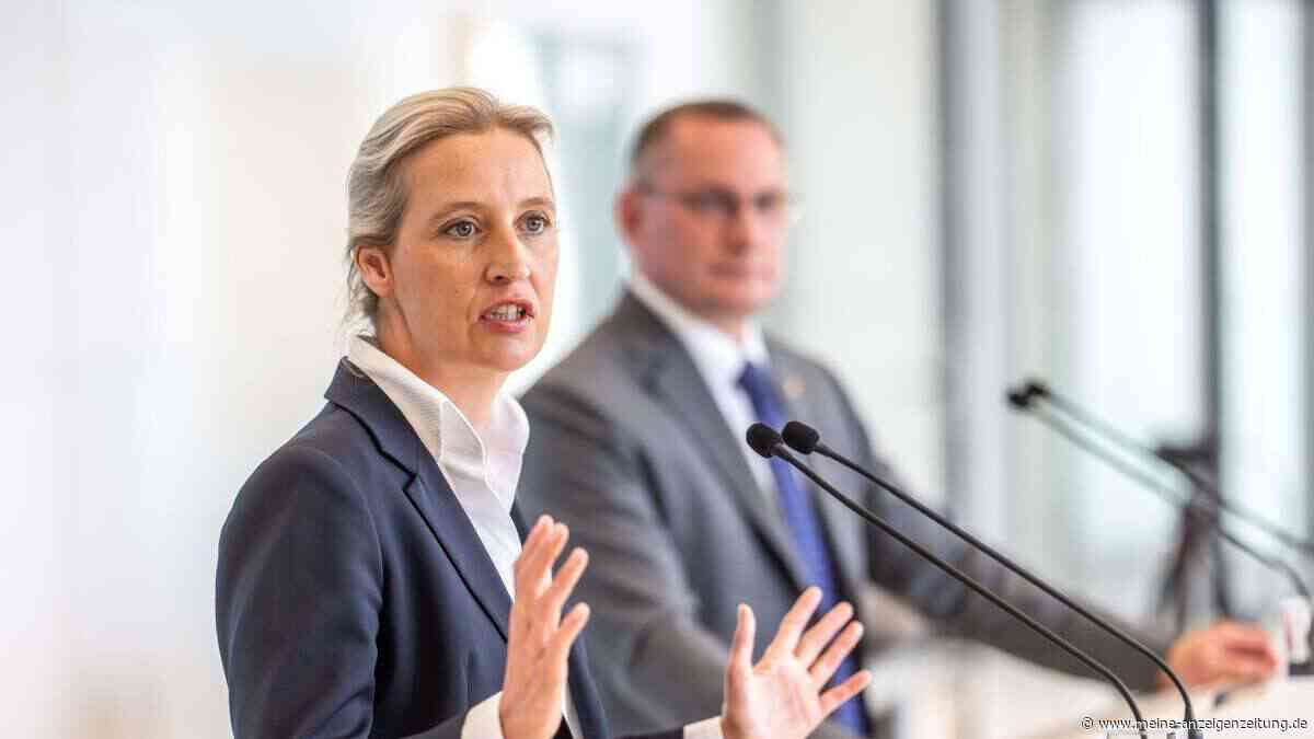 AfD-Datenleak: Mails sollen rassistische Hetze und Holocaust-Leugnung enthalten