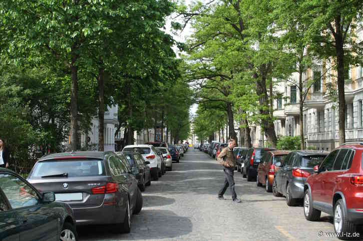 Baum-Überschirmung in Leipzig: Die Stadt muss noch eine Menge Straßenbäume pflanzen