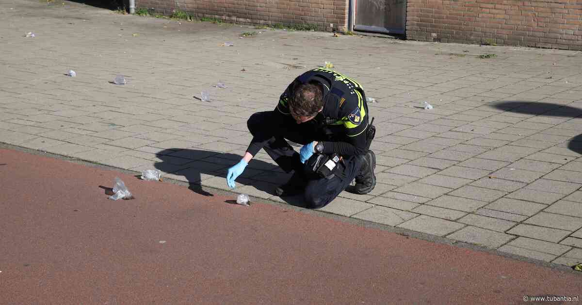 Ruim tien muizen in plastic zakjes achtergelaten in Den Haag: ‘Dit is dierenmishandeling’