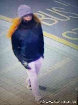 Enfield murder: Police hunt mystery person 'in possible disguise' after man shot dead at London pub