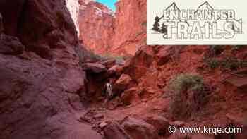 The Red Rocks trail provides the most unique views the land of enchantment has to offer; Enchanted Trails