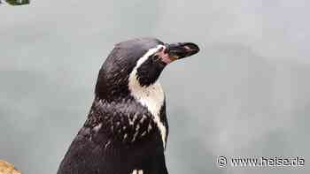 Was Linux 7.3 bei Grafikspeicher, Scheduling und Dateisystemen verbessert