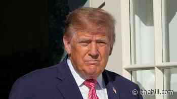 Trump approval at record-low 31 percent ahead of midterms: Survey