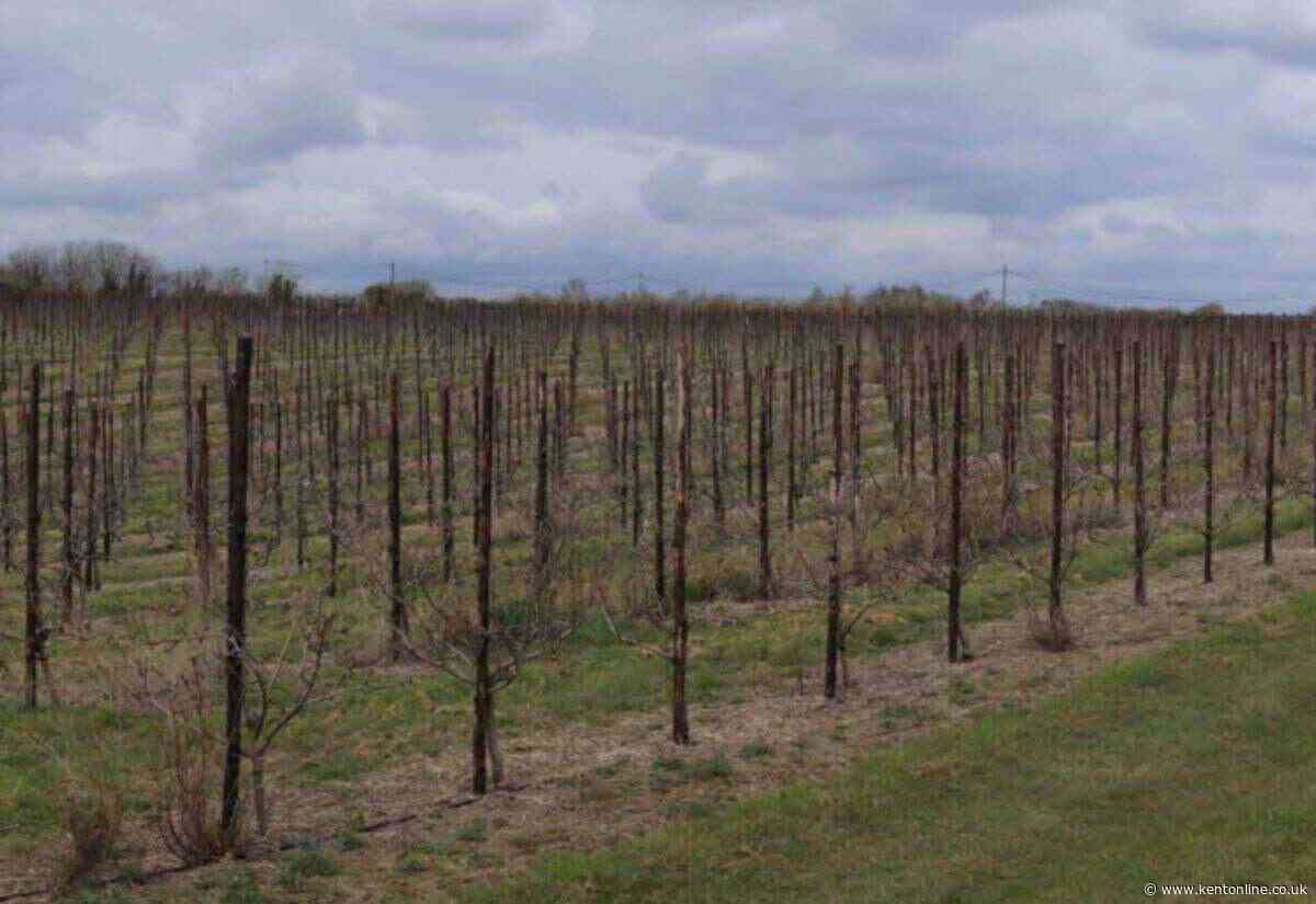 Appeal launched over refused 100-home scheme on orchard