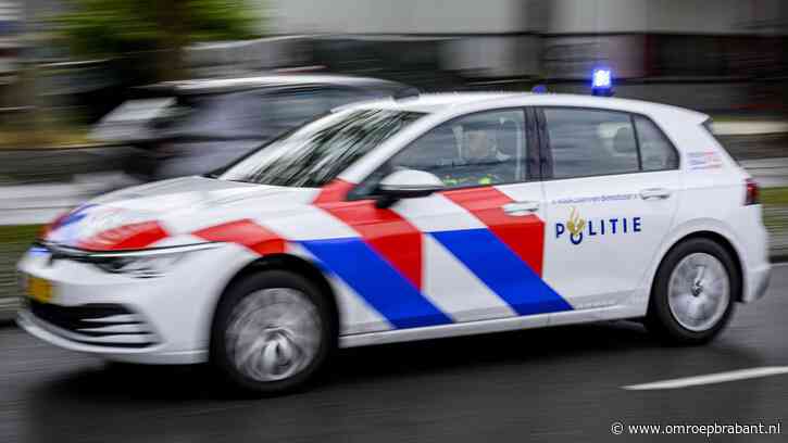 Dylan maakte dollemansrit door de stad, agenten vreesden voor hun leven
