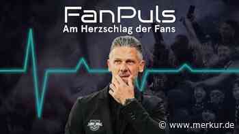 FanPuls: Demichelis im Sturzflug