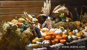 Fall Fun: Pumpkins at Hilger Family Farm