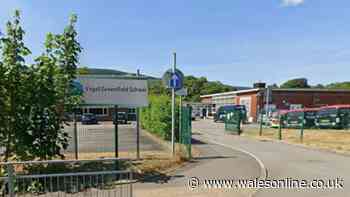 Former primary school could reopen as special school