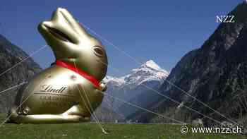 Der Abstieg des Goldhasen