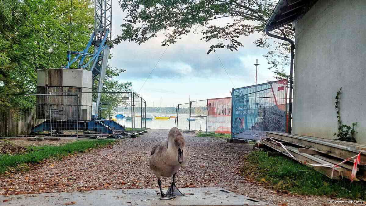 Spatenstich war im Sommer – doch die Wasserwacht Wörthsee wartet noch immer